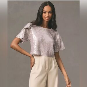 NWT Anthropologie Silver Cropped Sequin Top